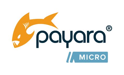 Products (Products & Comparisons) – Payara Services Ltd.